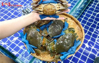  Bảng giá Cua Ngon Cà Mau chất lượng cao dành cho nhà hàng, khách sạn mới nhất 