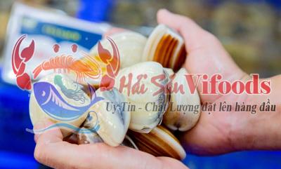 Giá sò thưng, Bán ngao vạng TPHCM, giá tốt TP.HCM