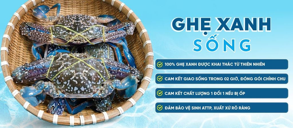 Ghẹ Xanh Sống Size 5-7 con/kg Giao S.ống nước với Oxi Nhanh Trong 2H –  DAOHAISAN